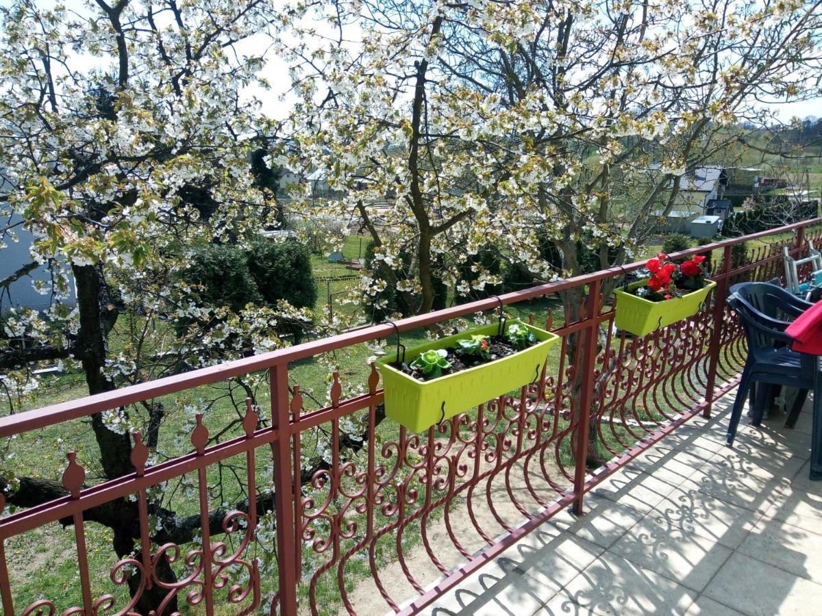 Homestay Strozowka Gorlice Eksteriør billede